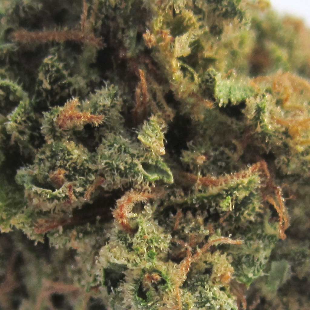KandyKush-detail