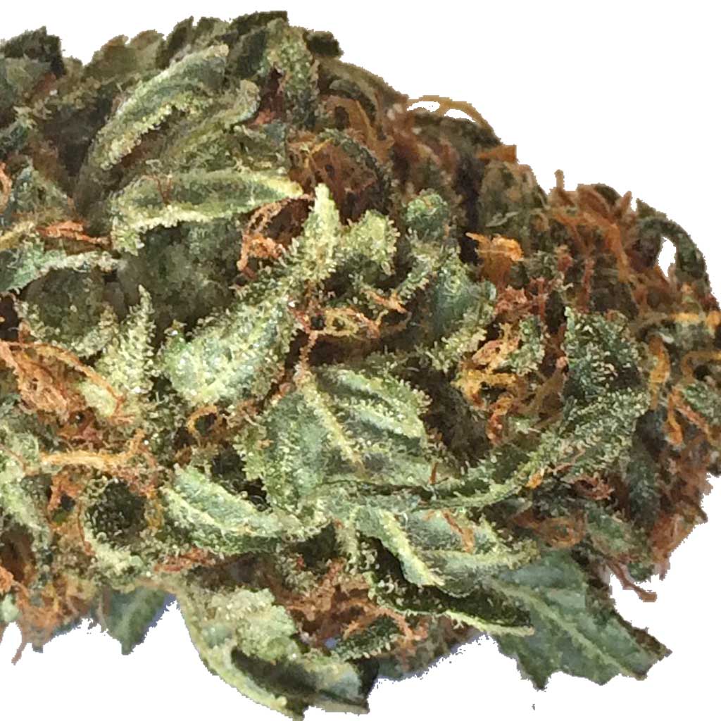 SugarKush-detail