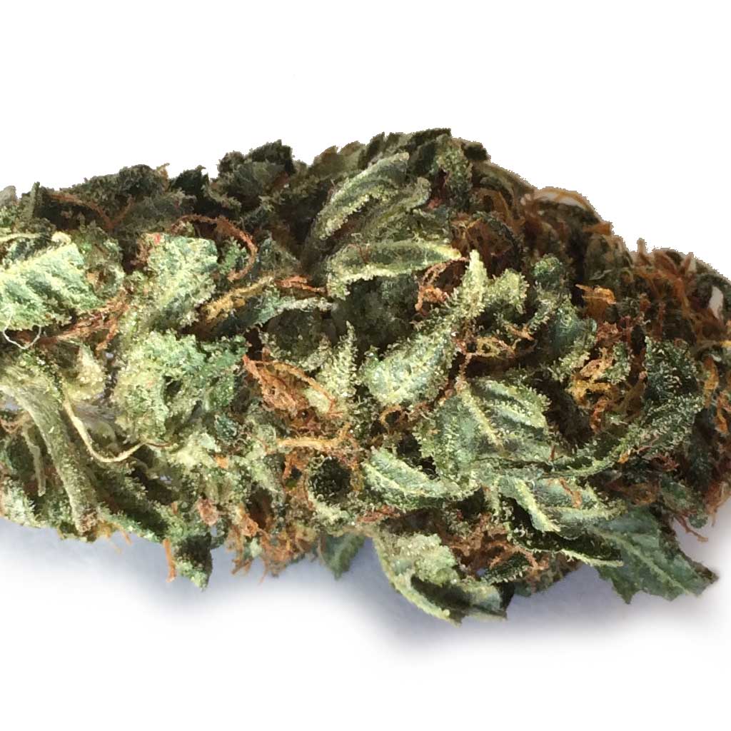 SugarKush-med