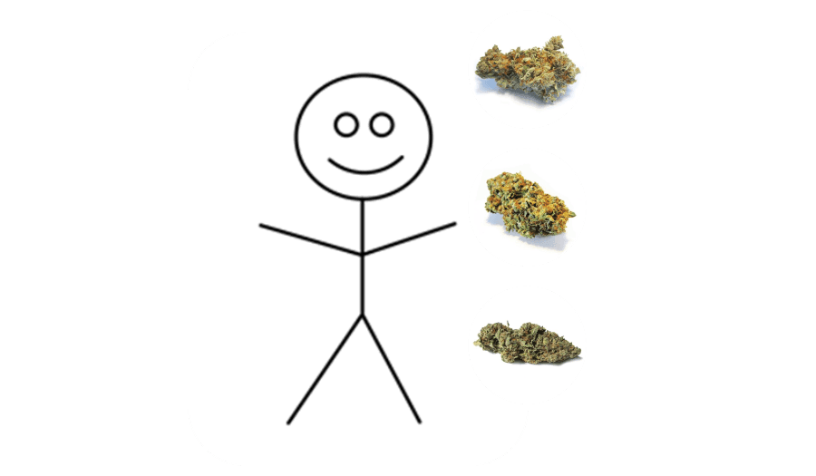 CBD Cannabis Strains for Pain