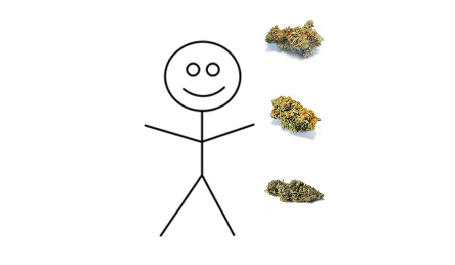 Choosing The Right Cannabis Strain for Pain Relief