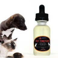 CBD, Hemp & Cannabis Products for Pets