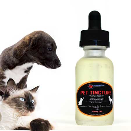 Medical CBD for Pets Category