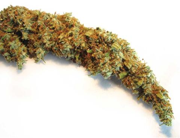 Go with a Sativa