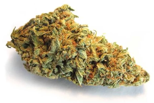 A Hybrid Cannabis Strain Might Be The Right Combination