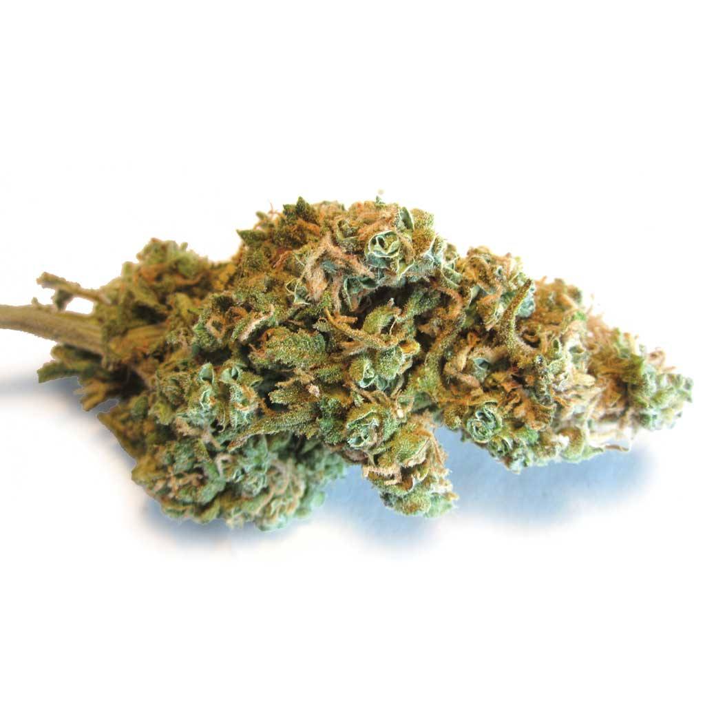 indica-afghani-indica-1