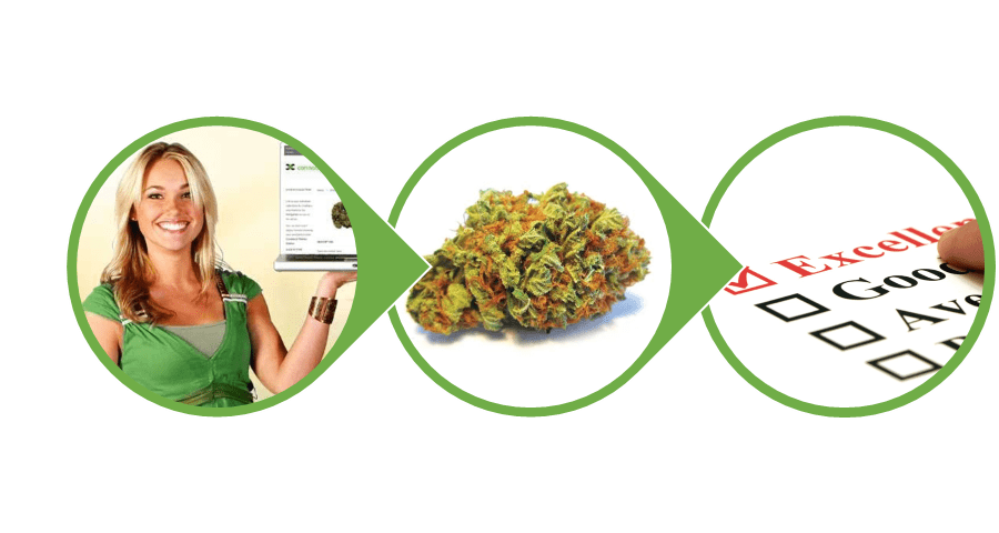 Mail Order Cannabis Reviews