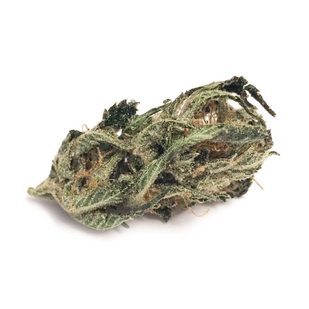 BigFreeze-bud