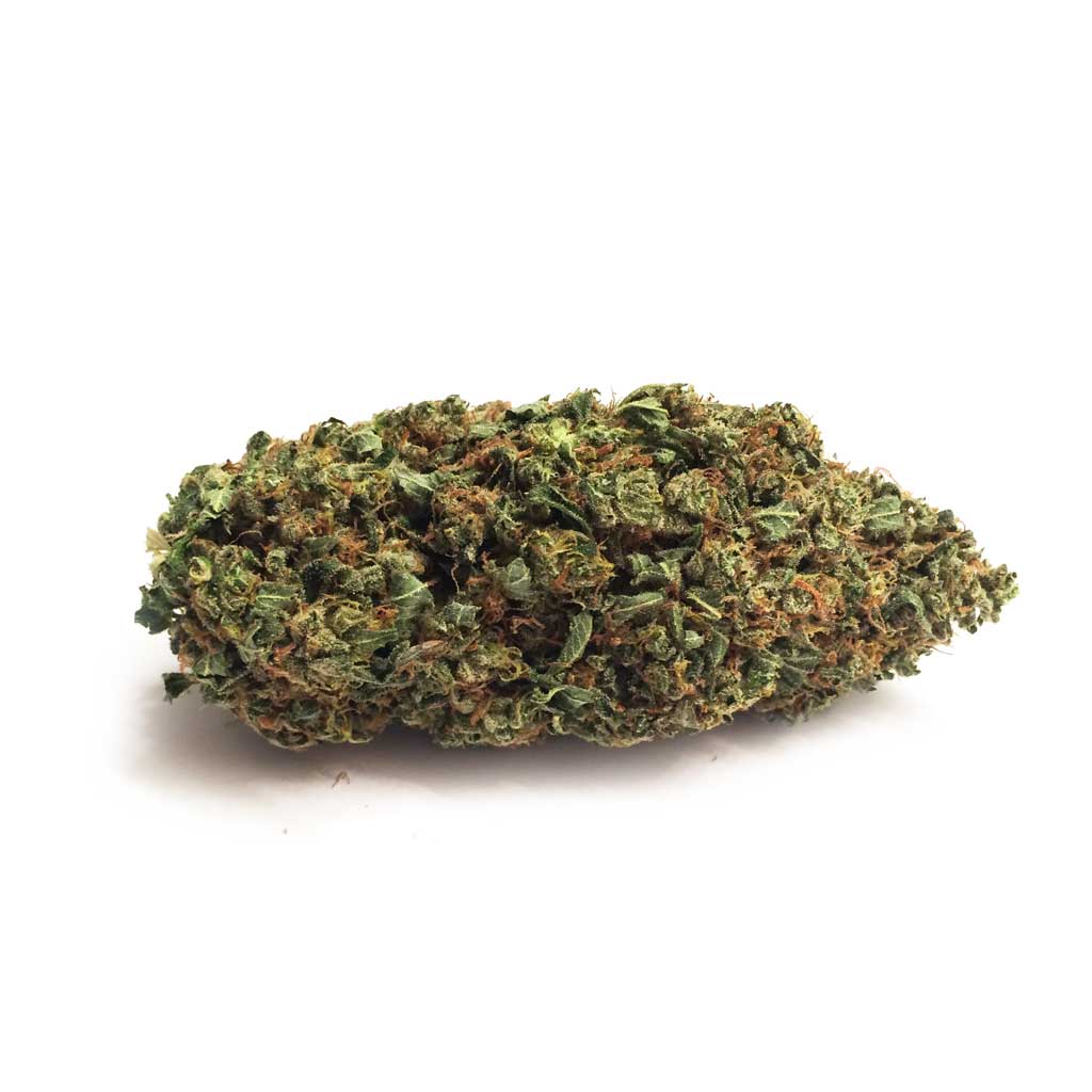 BlueRhino-bud