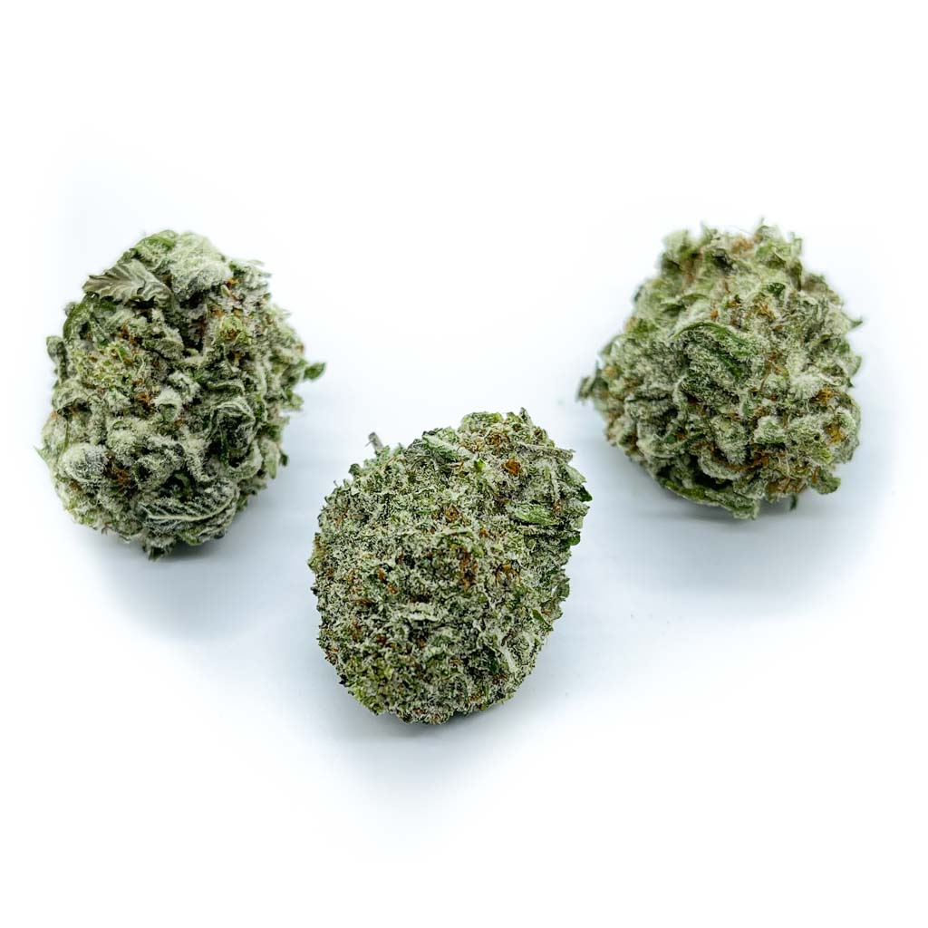 Chemo Kush2 - 1024x1024 - small file