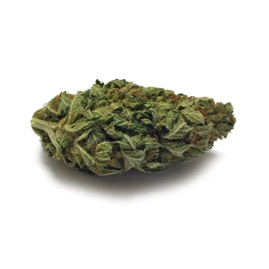 CannalopeKush-bud
