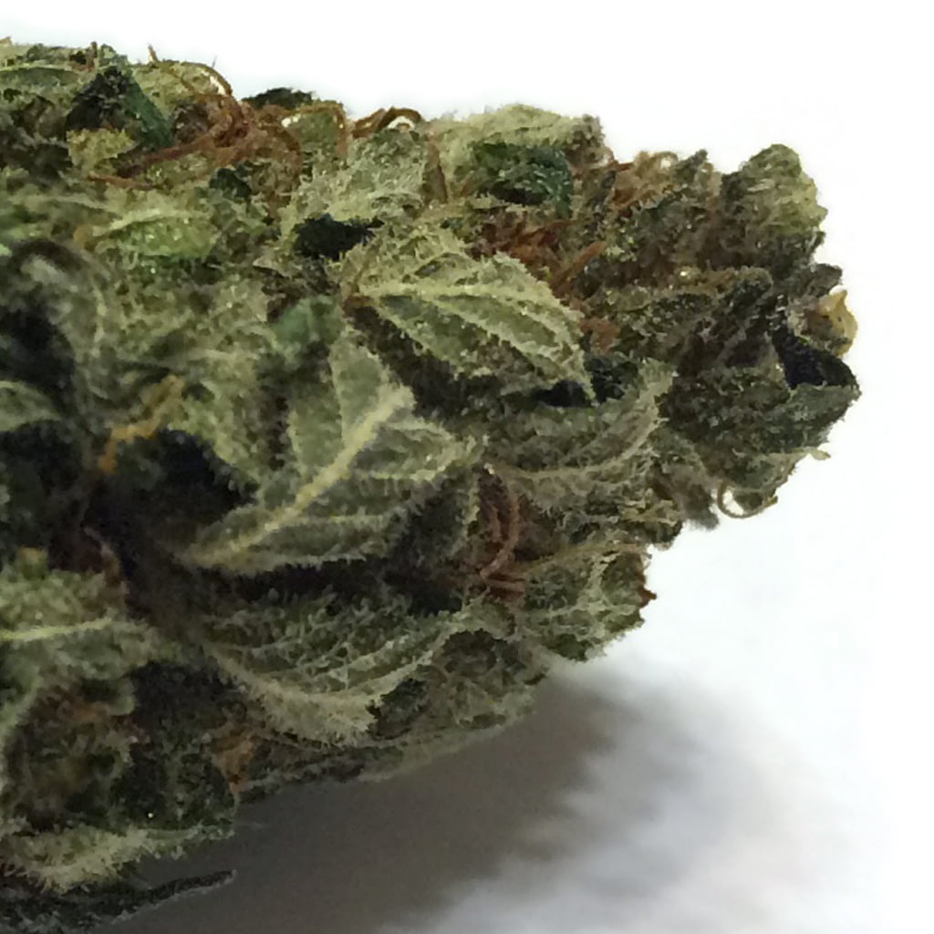 CannalopeKush-detail