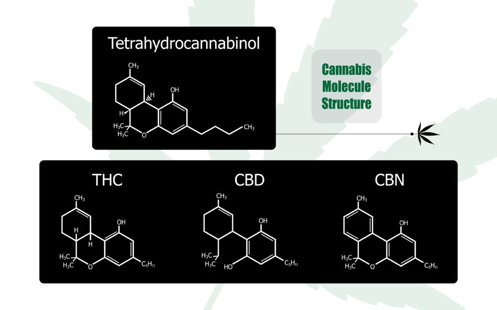 THC, CBD, and CBN are all cannabinoids, but they all act differently.