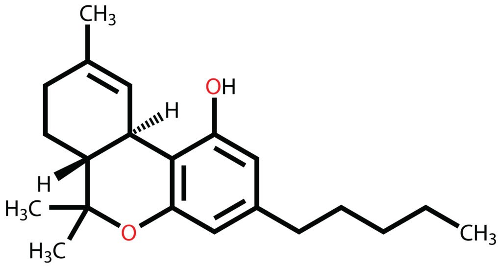 THC is the main active ingredient in hash