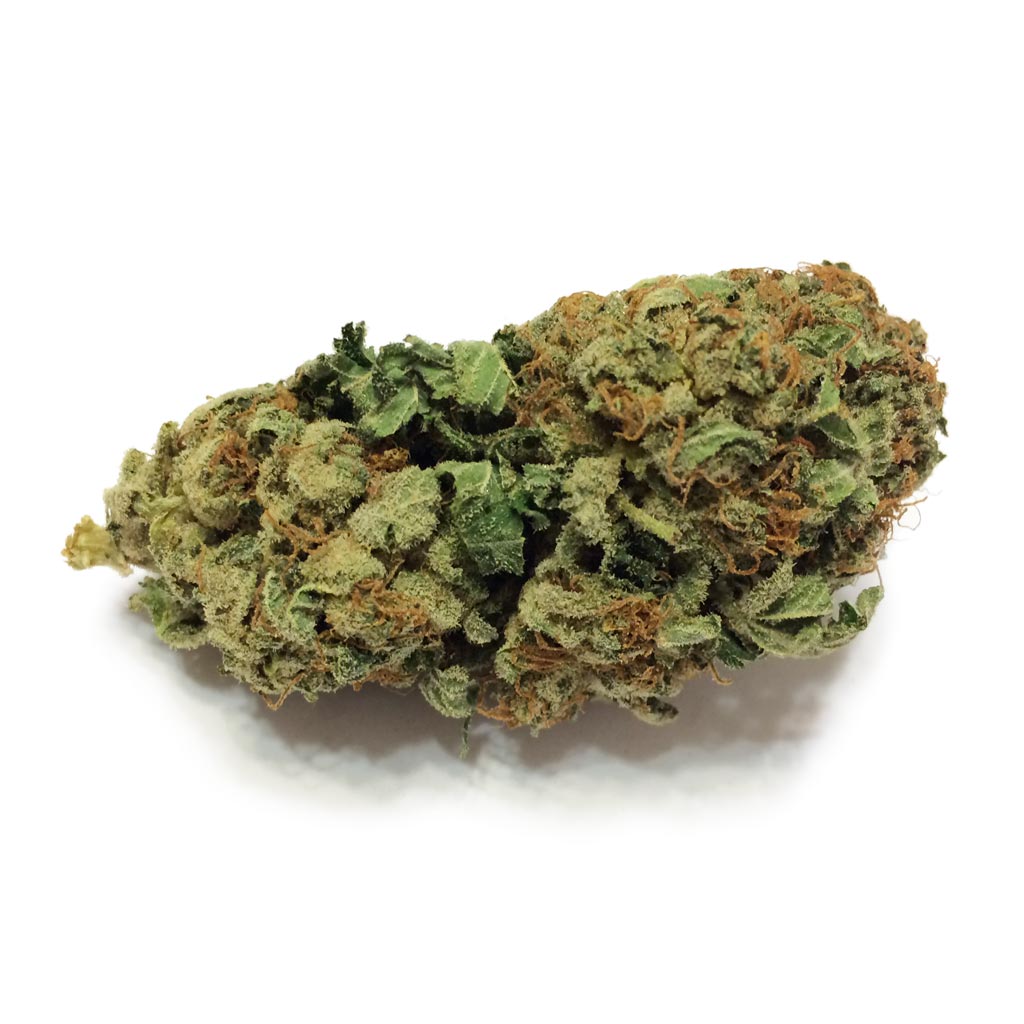 PinkGod-bud