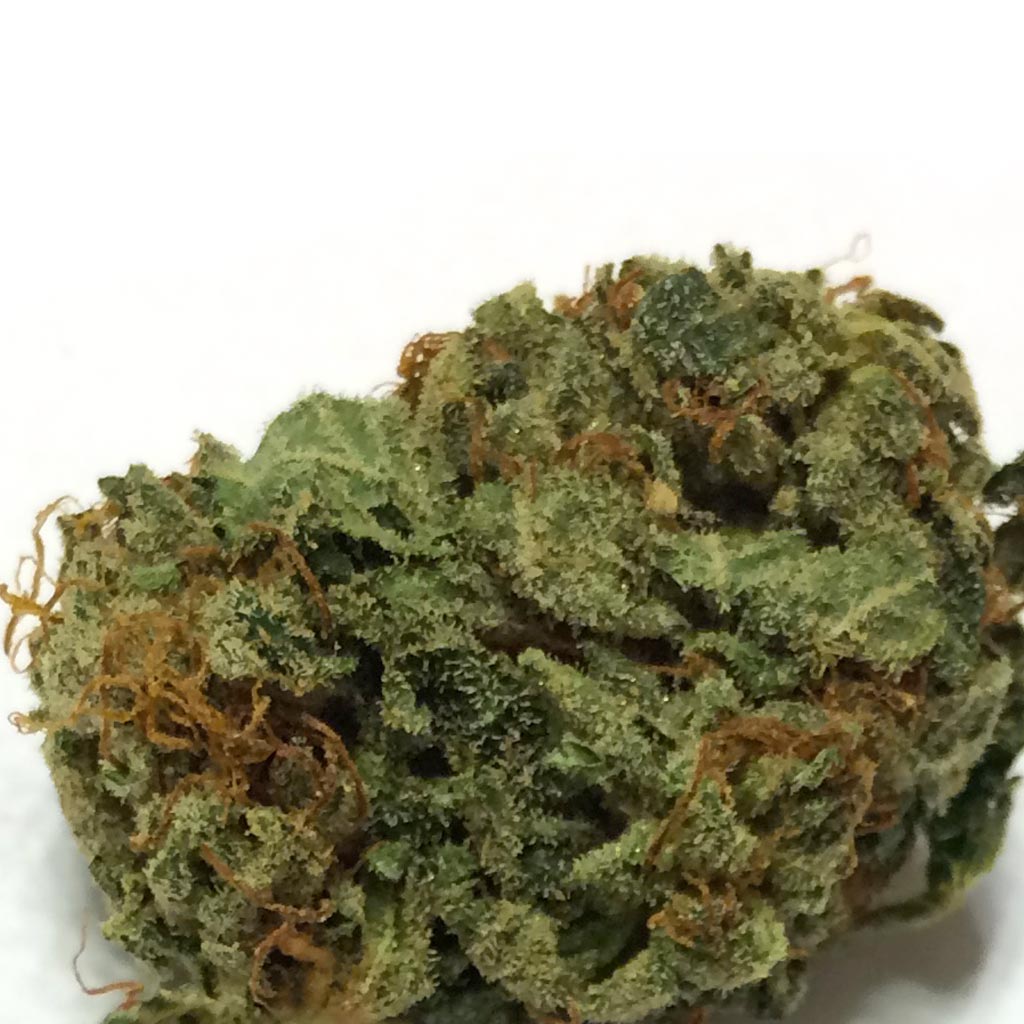 PinkGod-medium