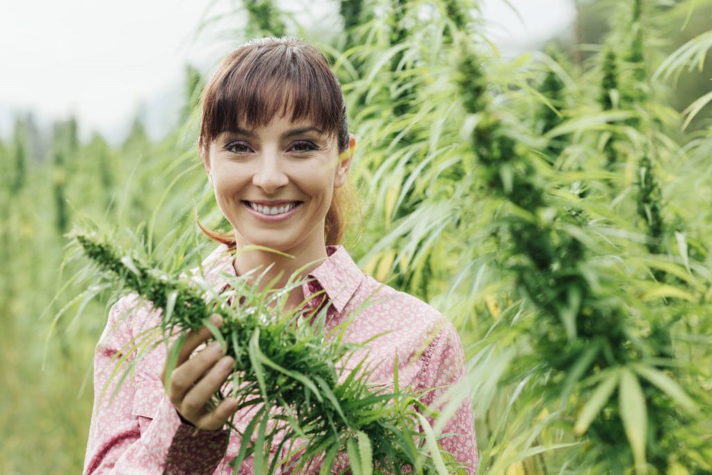 Sativa Cannabis Flowers