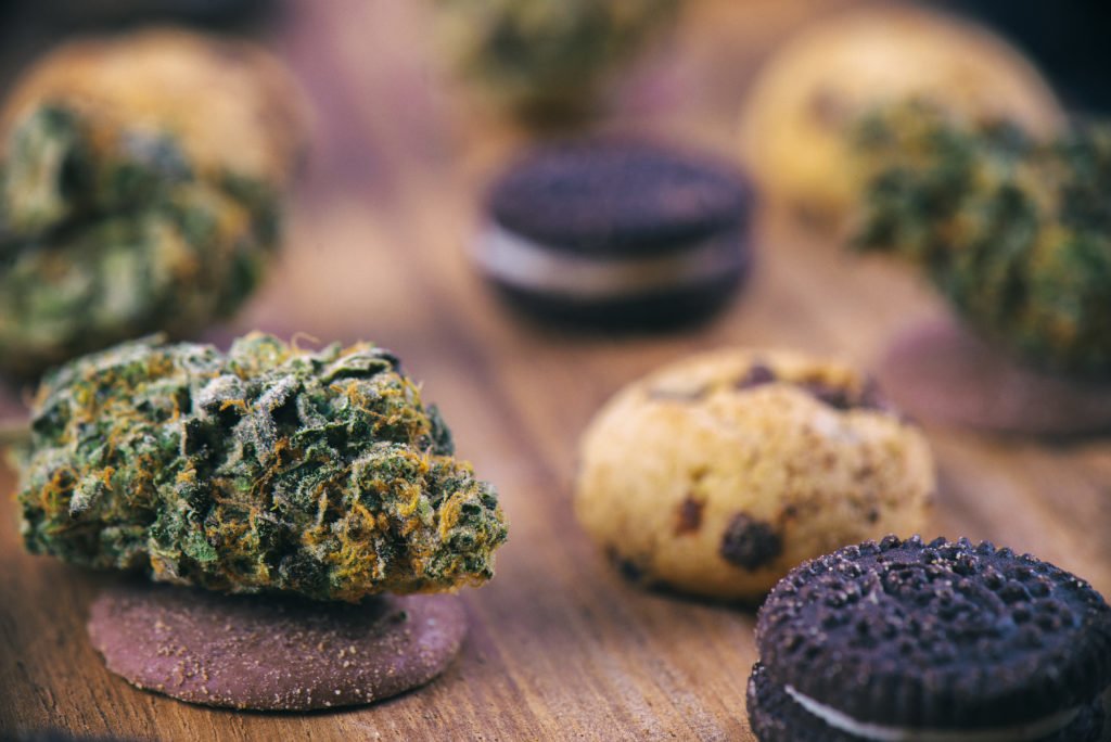 Background with cannabis nugs over infused chocolate chips cookies - medical marijuana edibles concept
