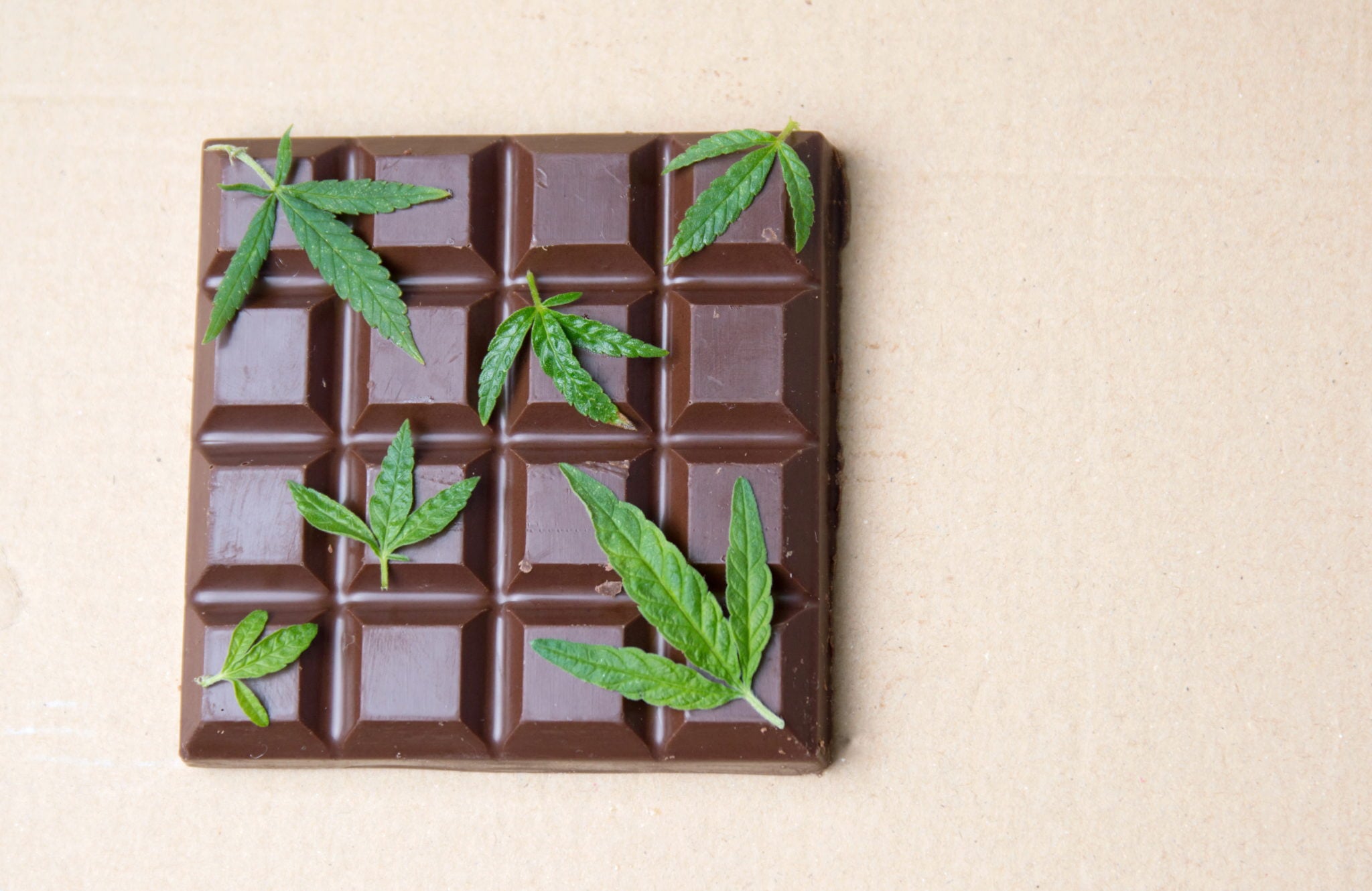 Marijuana leaves on top of dark chocolate