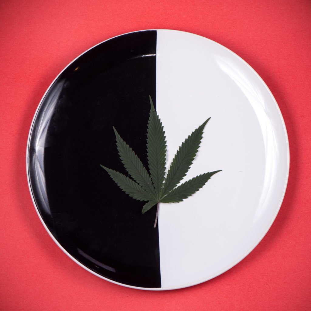 Detail of single cannabis leaf on a dish isolated - medical marijuana infused edibles concept