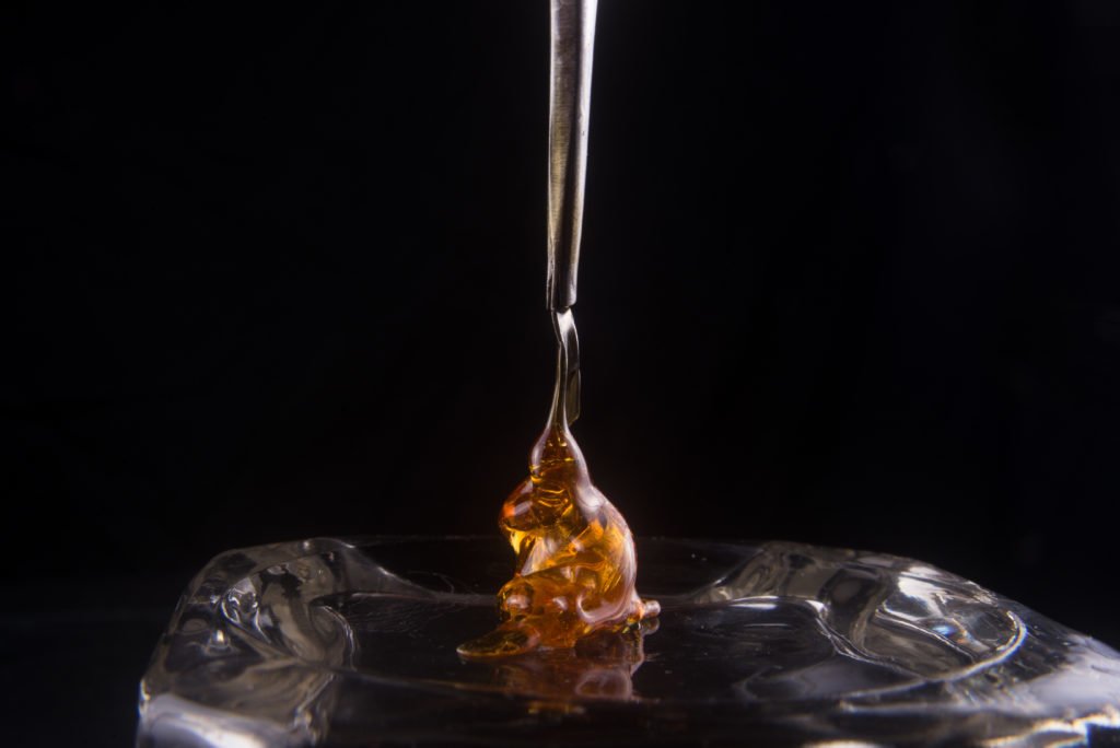 Melted cannabis oil concentrate aka shatter held on a dabbing tool over dark background