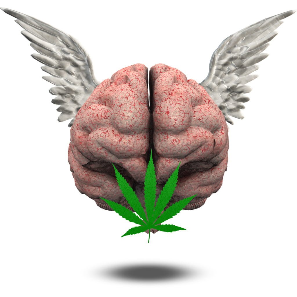 Winged Brain with Marijuana Leaf