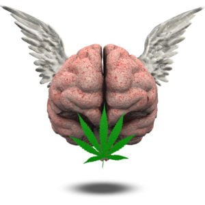 What Are The Effects Of Pure THC Pills?
