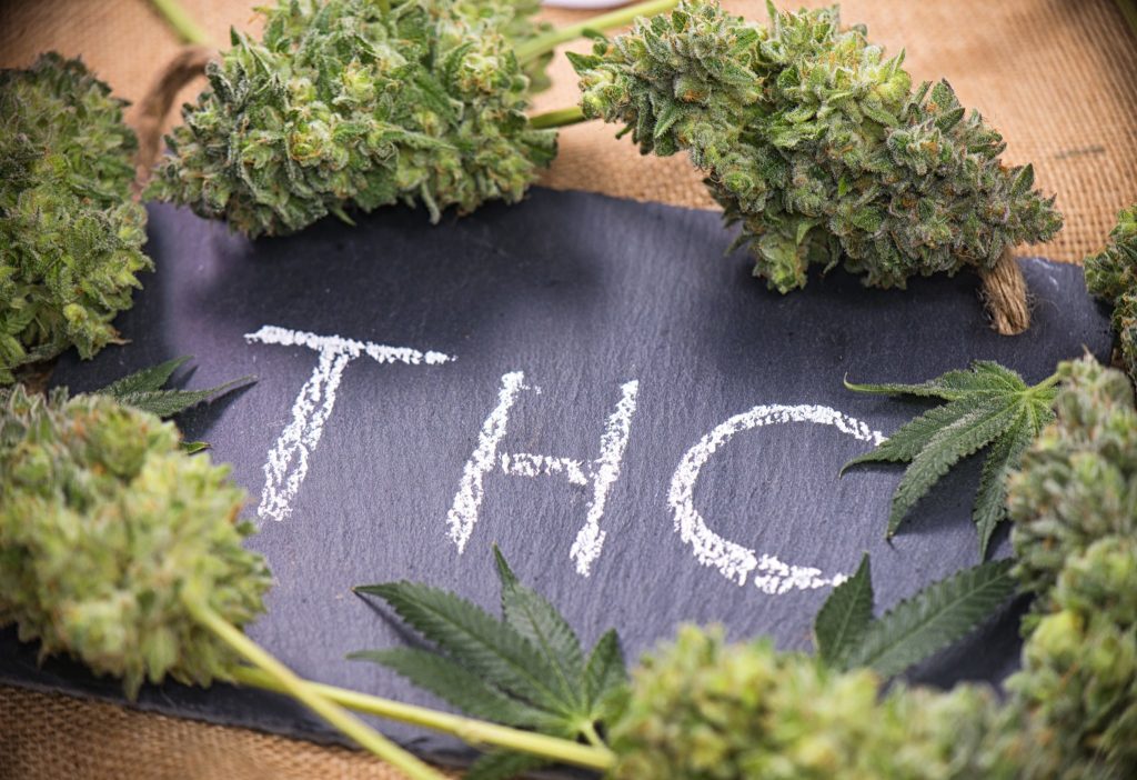 Medical marijuana background with cannabis leaves and buds sorrounding the word THC hand written on dark board