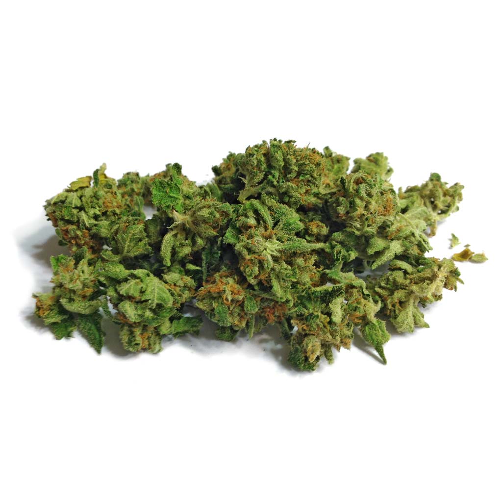 MedibudPOP-buds