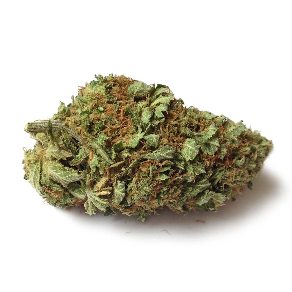 SweetCheese-bud