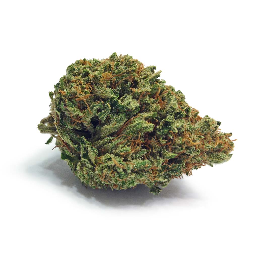CannaHazeOG18-bud