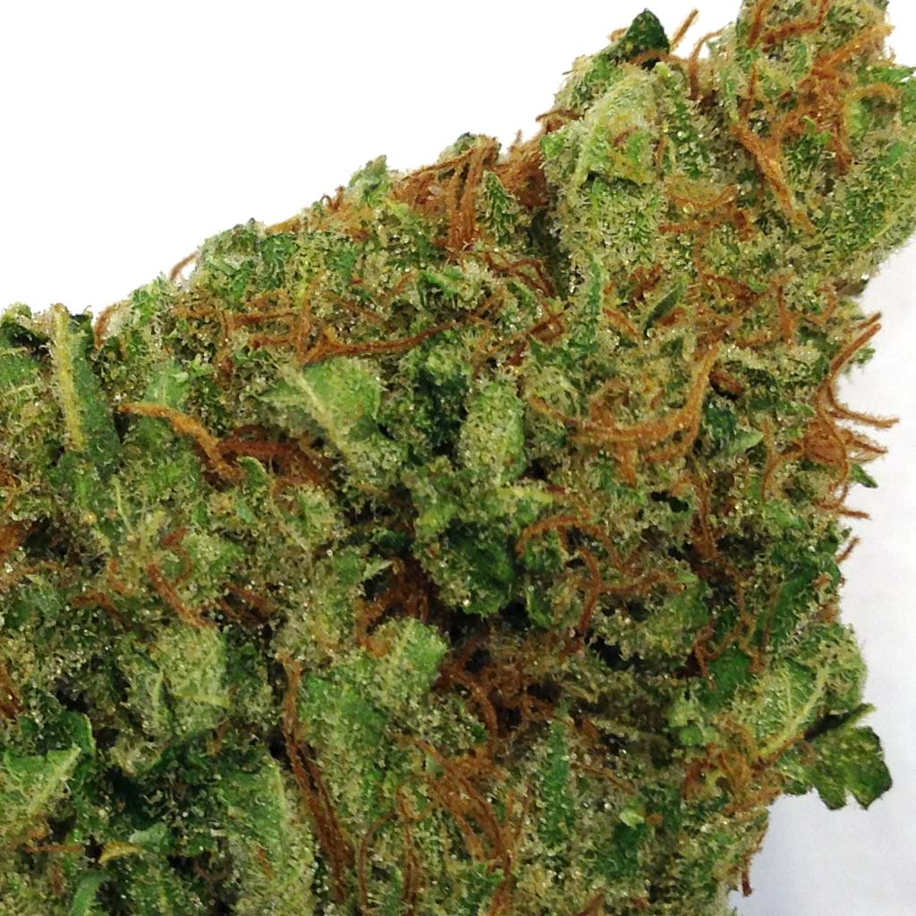CannaHazeOG18-detail