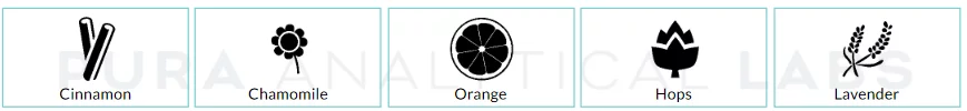 Primary Terpene Aroma For Nebula Strain Cannabis Hybrid Flower Chart