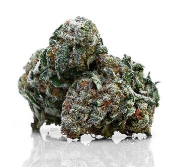 Purple Skunk buy weed online cannabis sativa