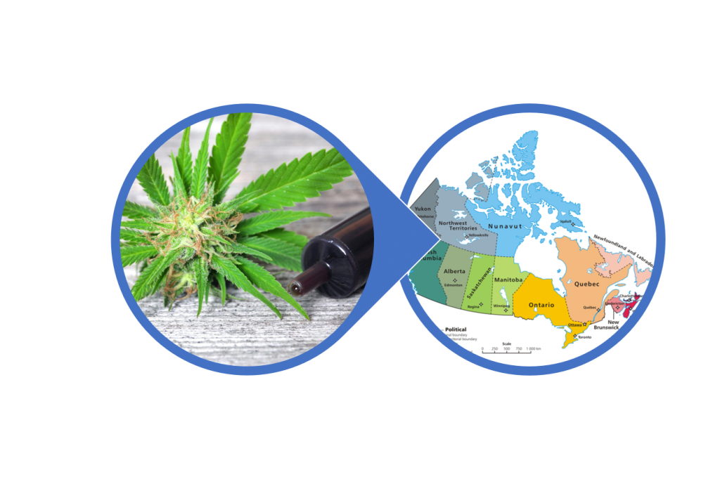 Our CBD Oil goes everywhere Canada Post goes; co2 extracted cbd oil canada; indica CBD oil Canada