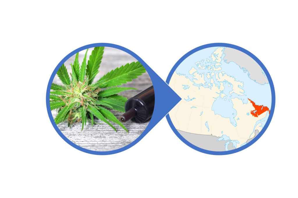 Buy CBD Oil in St. John's, Corner Brook, Paradise and everywhere else in Newfoundland and Labrador!