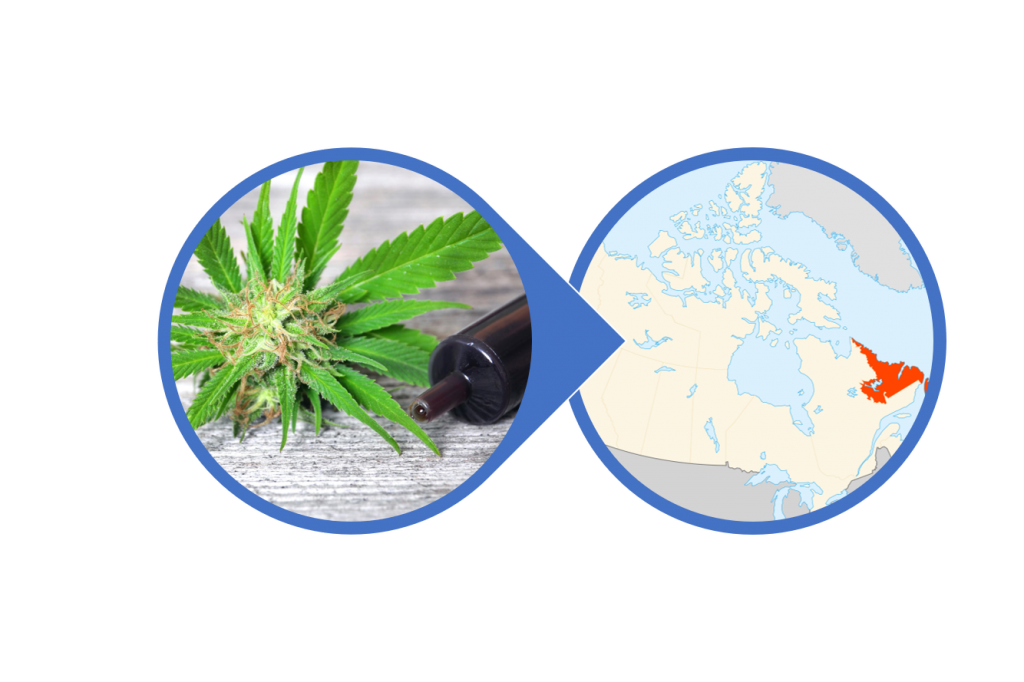 Find CBD Concentrates in Newfoundland and Labrador