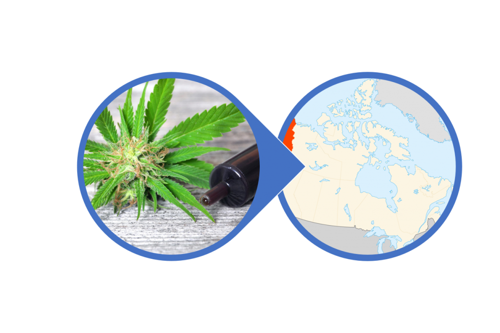 Find CBD Concentrates in Yukon