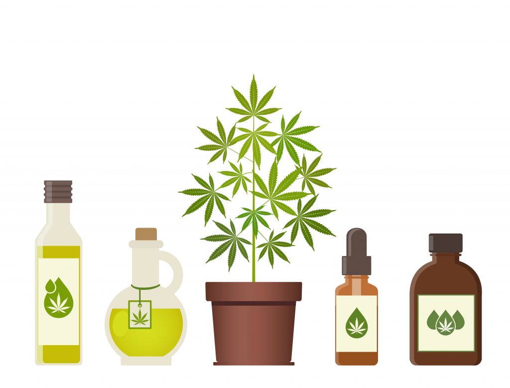 Cannabis Oil Products