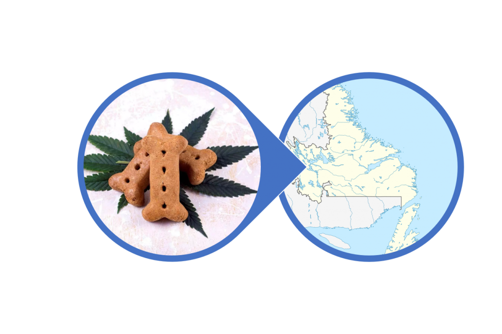 Find CBD for Pets in Newfoundland and Labrador