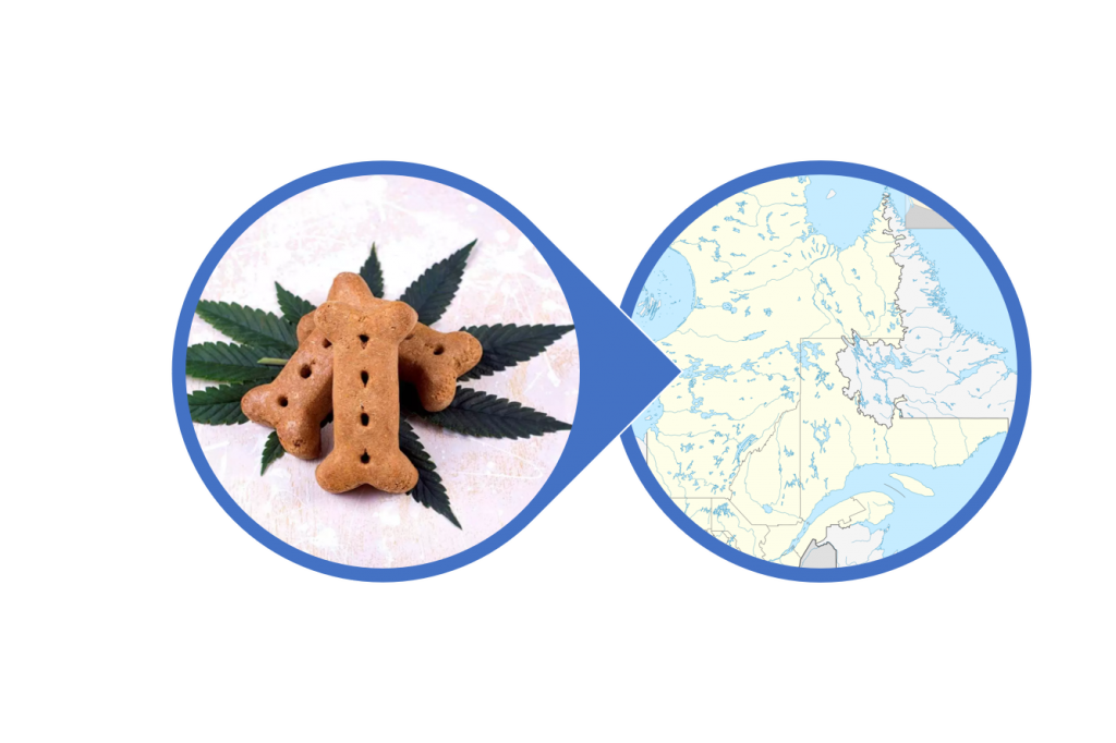 Find CBD for Pets in Quebec