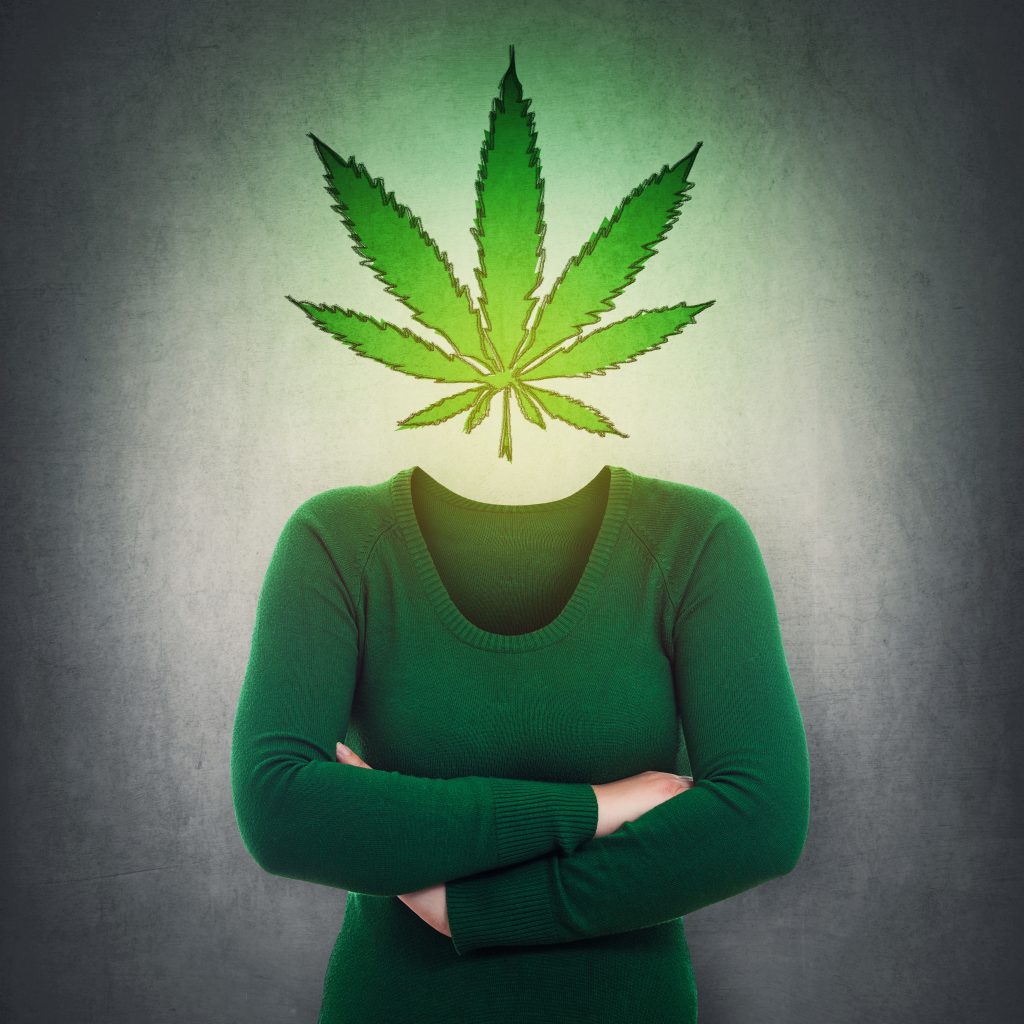 Surreal portrait anonymous woman with marijuana leaf symbol instead head over grey wall. Cannabis legalization as medical drug. CBD healing social issue concept. Junkie or patient, drug or cure.