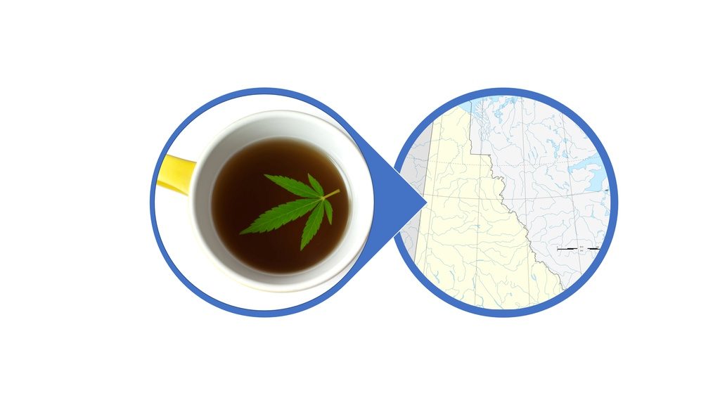 Find CBD & Cannabis Beverages in Yukon