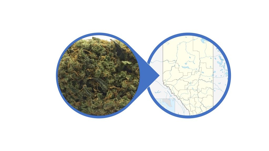 Find Cannabis Buds in Alberta