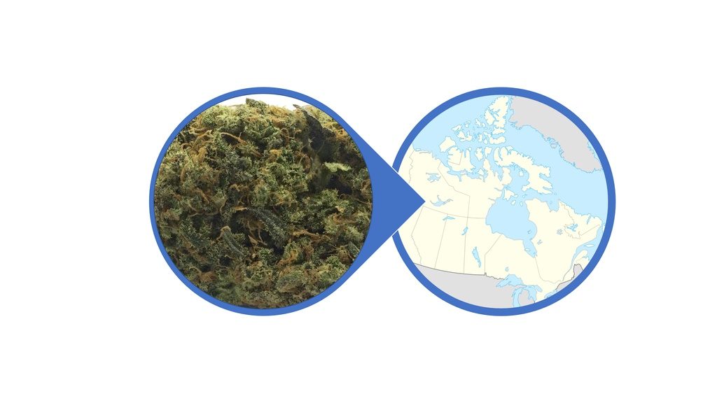 Find Cannabis Buds Across Canada