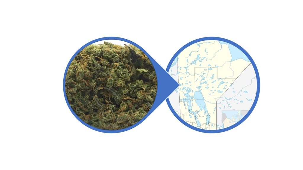 Find Cannabis Buds in Manitoba