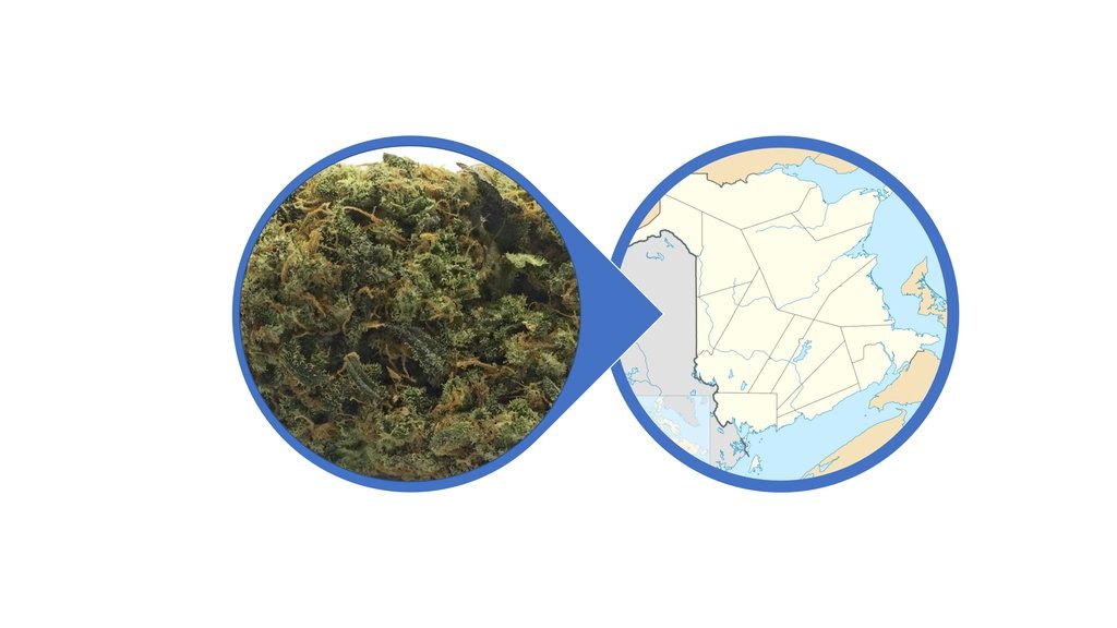 Find Cannabis Buds in New Brunswick