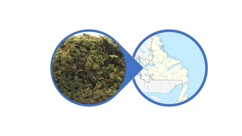 Find Cannabis Buds in Newfoundland and Labrador
