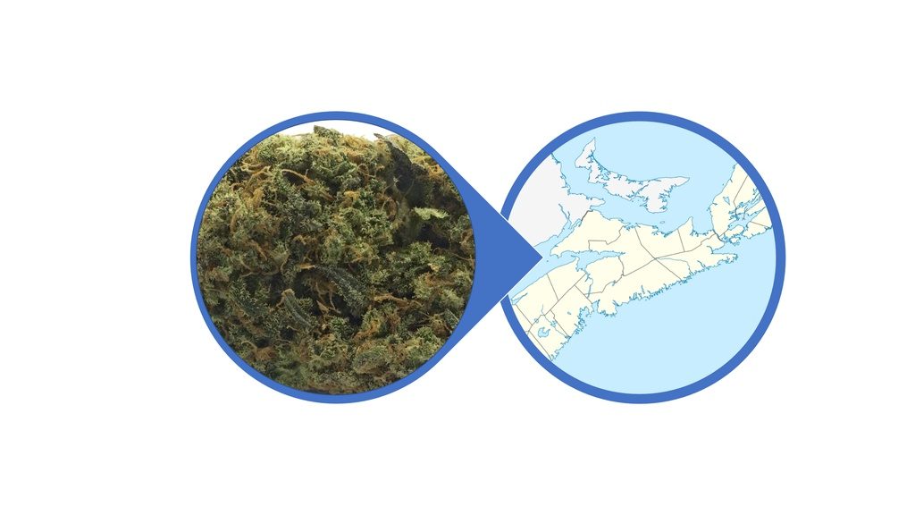 Find Cannabis Buds in Nova Scotia