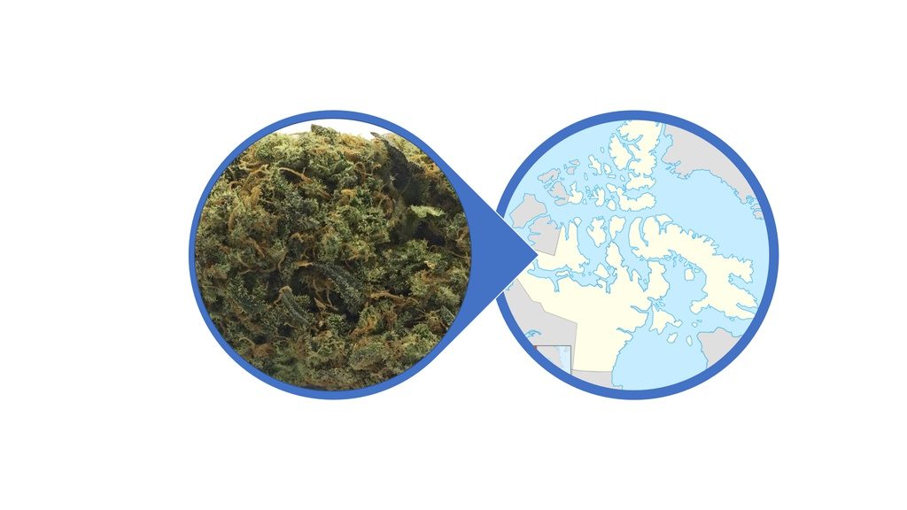 Find Cannabis Buds in Nunavut